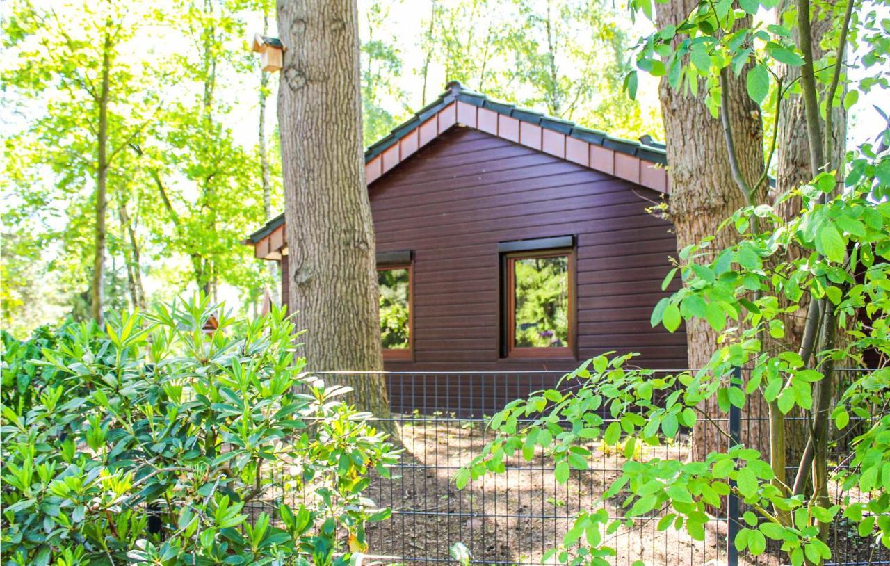 Pet Friendly Home In Haren With Sauna Dankern Exterior photo