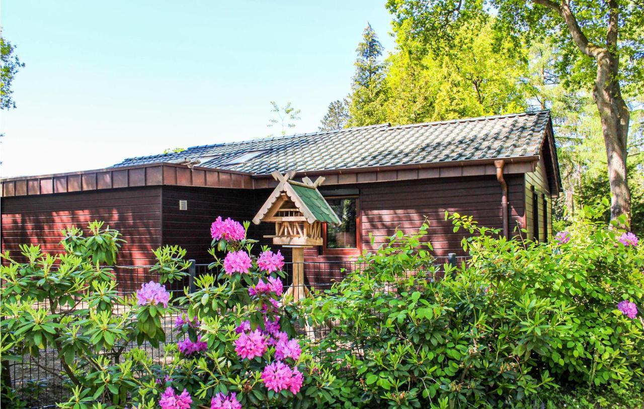 Pet Friendly Home In Haren With Sauna Dankern Exterior photo