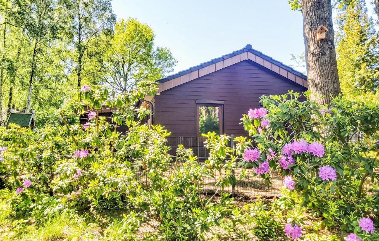 Pet Friendly Home In Haren With Sauna Dankern Exterior photo